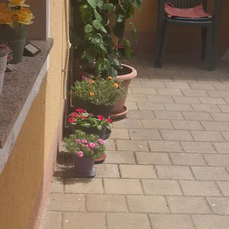Apartment Ani