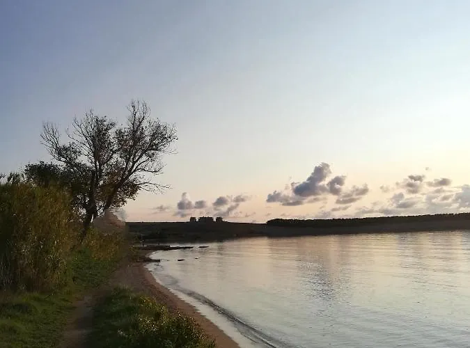 Ani * פובליאנה