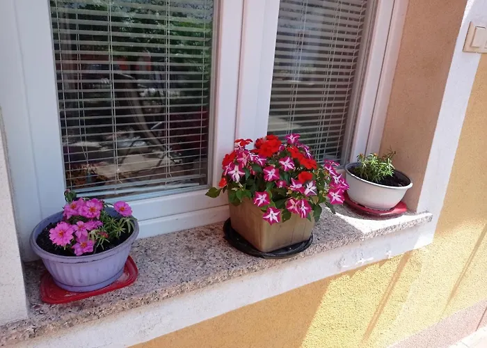 Ani * פובליאנה