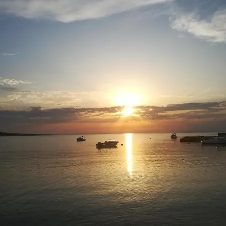 Ani Povljana