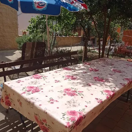 Ani * Povljana