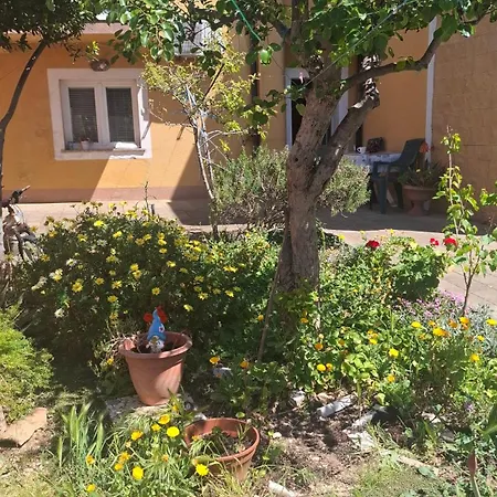 Appartement Ani